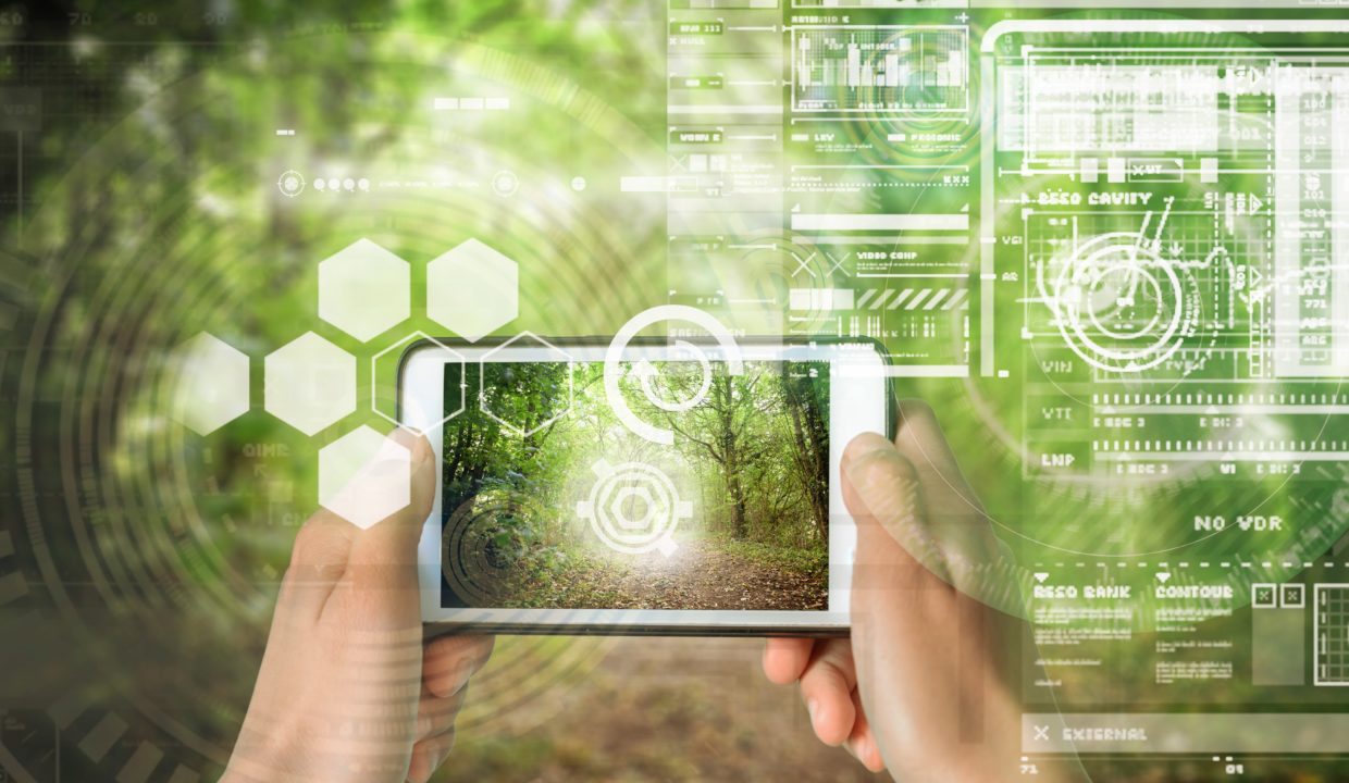 Le numérique au service du marché des forêts