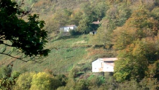 Forêt à vendre Pyrénées-Orientales
