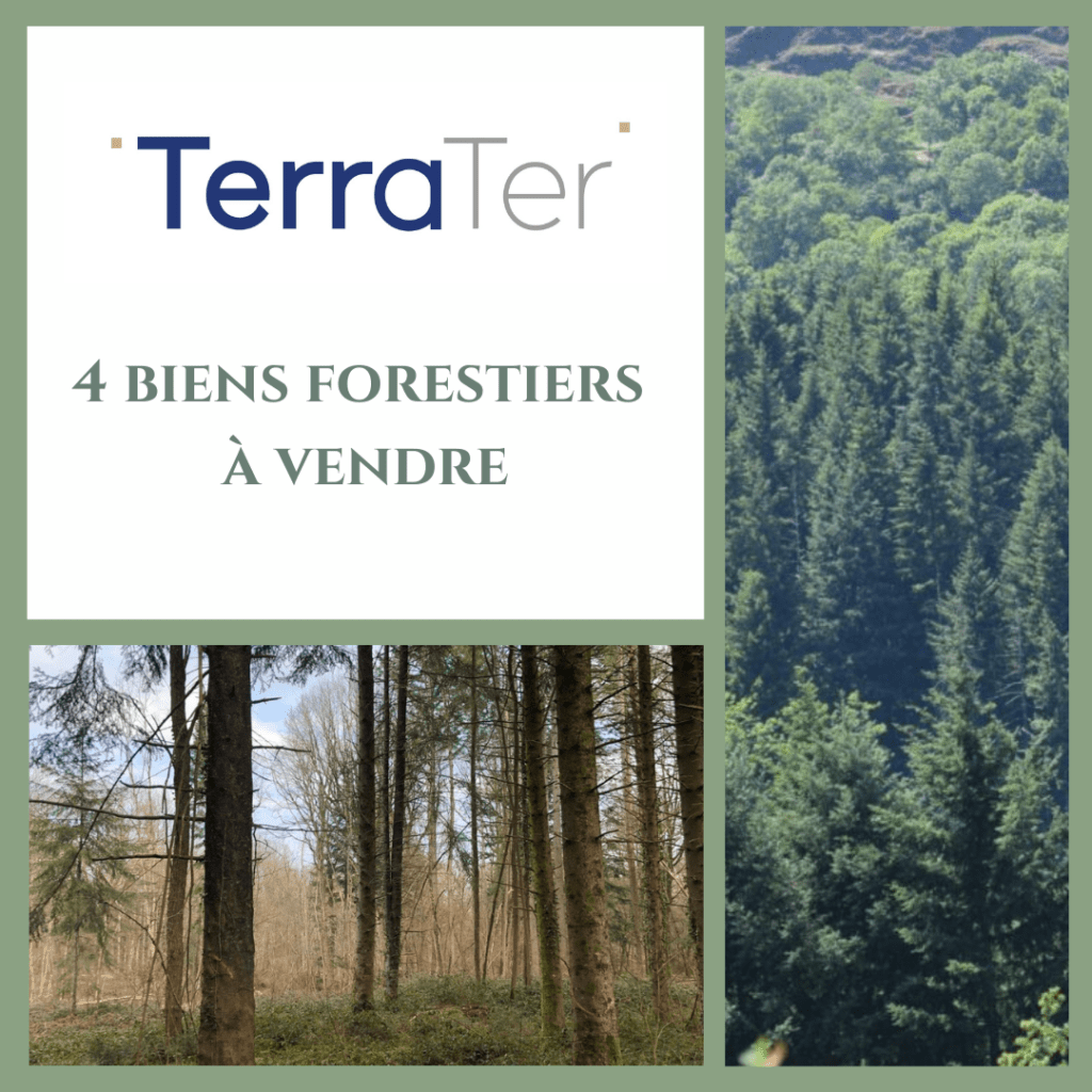Les forêts à vendre de TerraTer