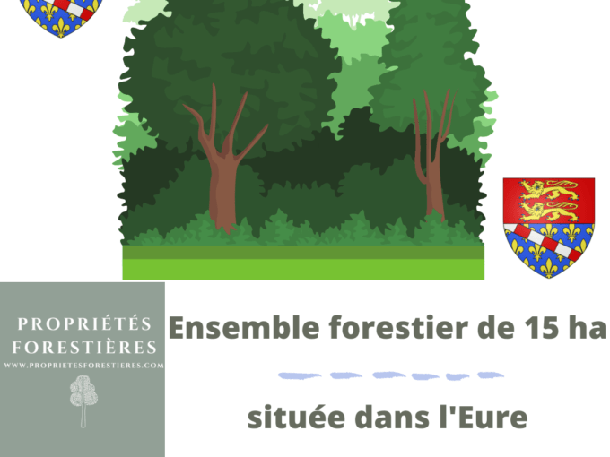 Ensemble forestier de 15Ha 81a dans l’Eure