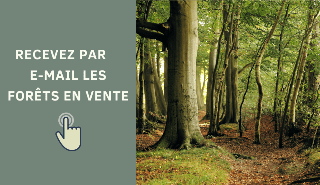 Forêts à vendre par e-mail - PropriétésForestières.com - Accueil
