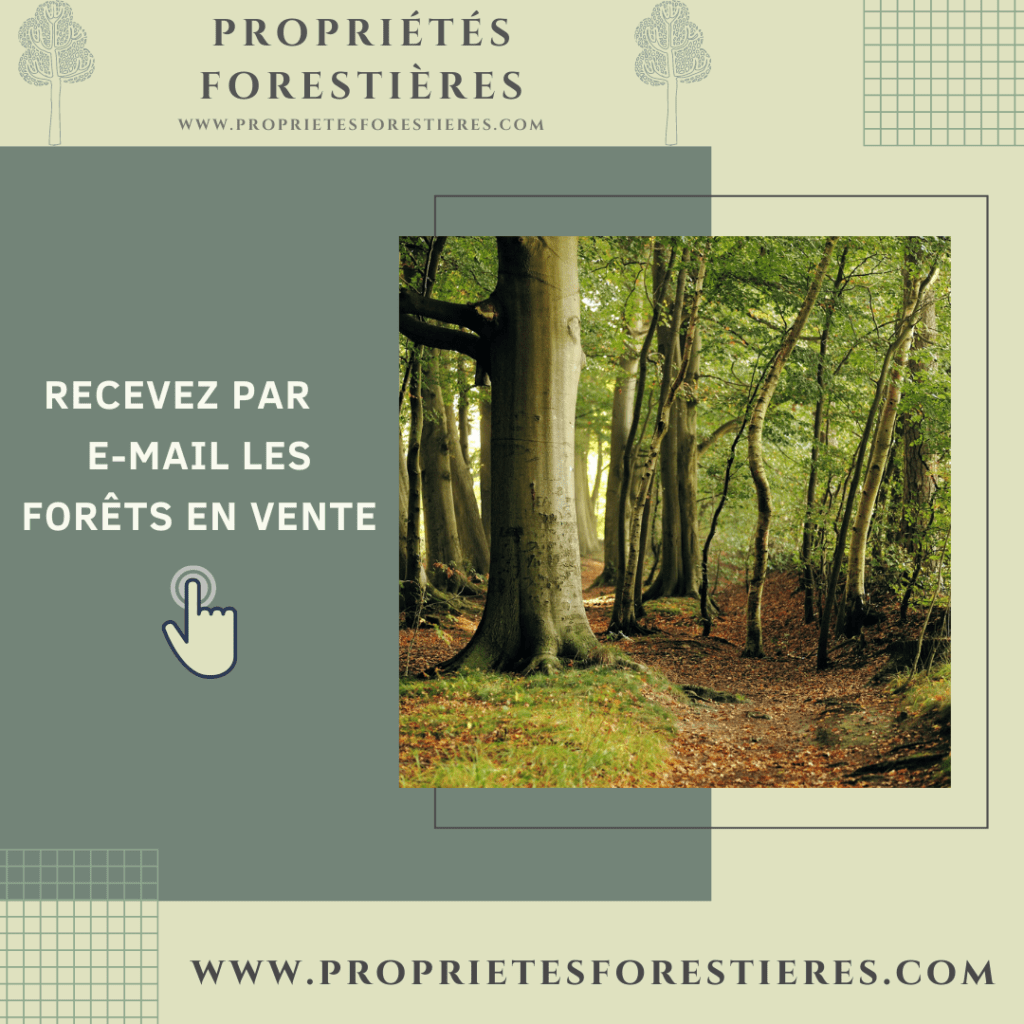 Forêts à vendre par e-mail - PropriétésForestières.com