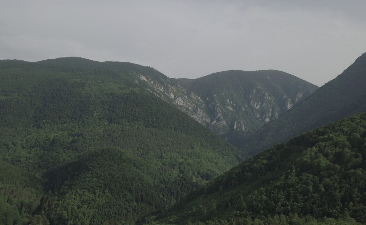 Forêt à vendre Ariège