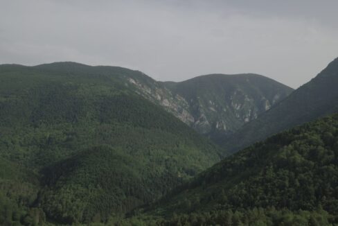 Forêt à vendre Ariège