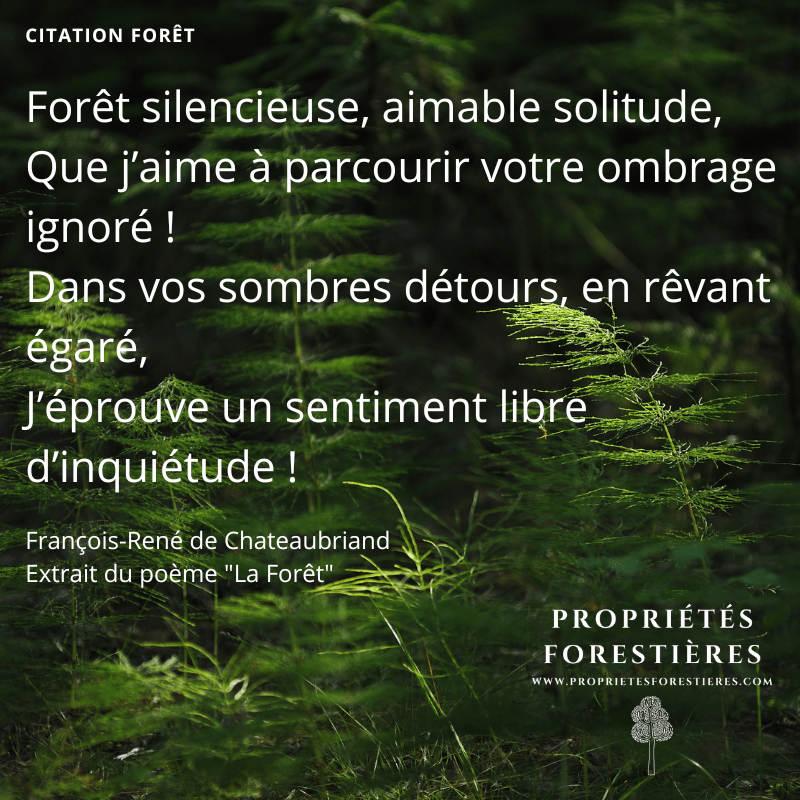 Citation Forêt Chateaubriand