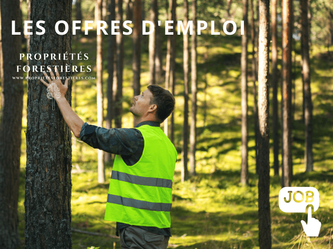 Emploi Forêt - Offres d'emploi Forêt