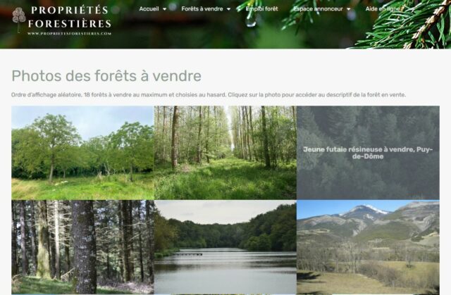 Photos des Forêts à vendre