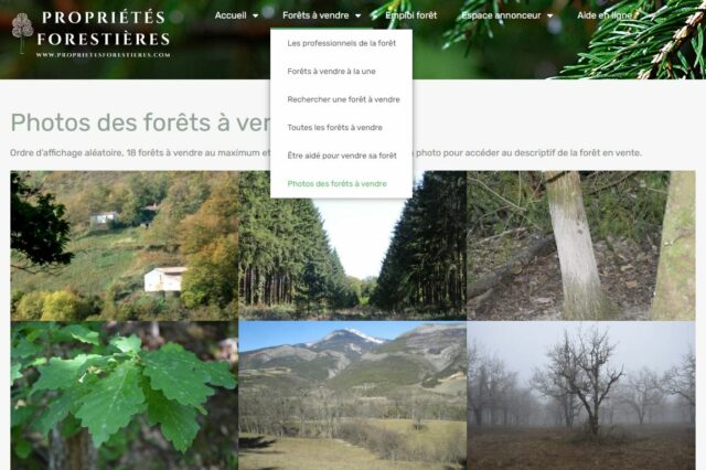Photos des Forêts en vente