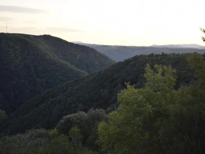 Achat Forêt dans la Drôme