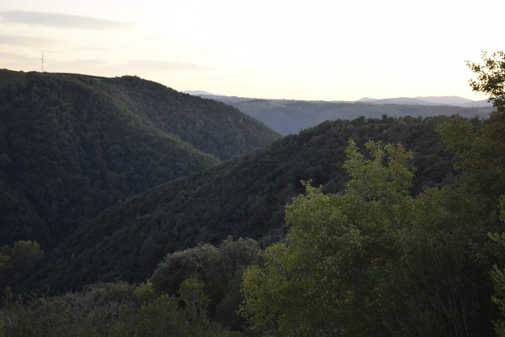 Propriété rurale avec vigne et forêt à vendre dans la Drôme