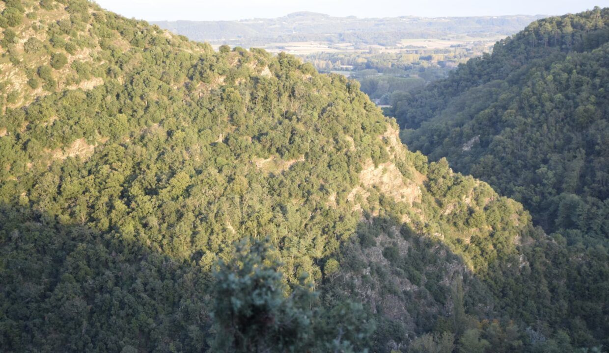 Achat Propriété Forestière dans la Drôme