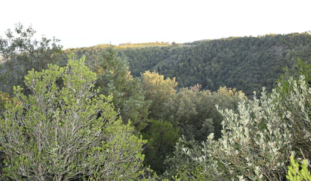 Forêt à vendre Drôme