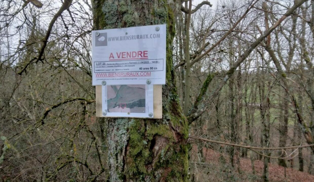 Parcelle forestière à vendre Luxembourg