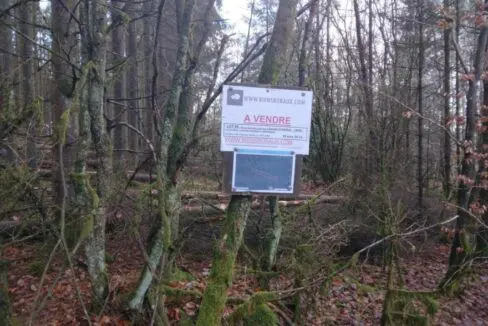 Parcelle forestière à vendre en Belgique