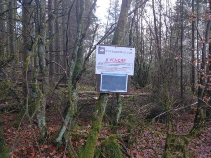 Parcelle forestière à vendre en Belgique